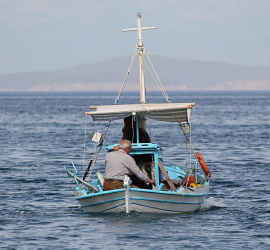 In Aegean Sea, Calls For Greek-Turkish Collaboration On Balloon Fish Threat