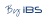 iBS Internet IT Business Services logo white